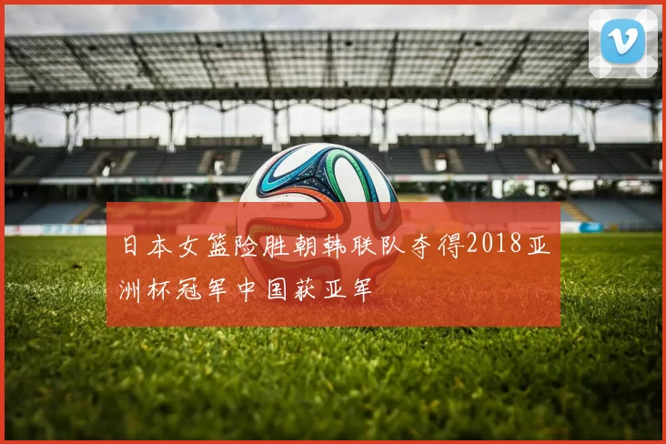 日本女篮险胜朝韩联队夺得2018亚洲杯冠军中国获亚军
