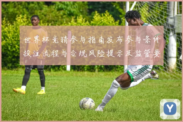 世界杯竞猜参与指南发布参与条件投注流程与合规风险提示及监管要求