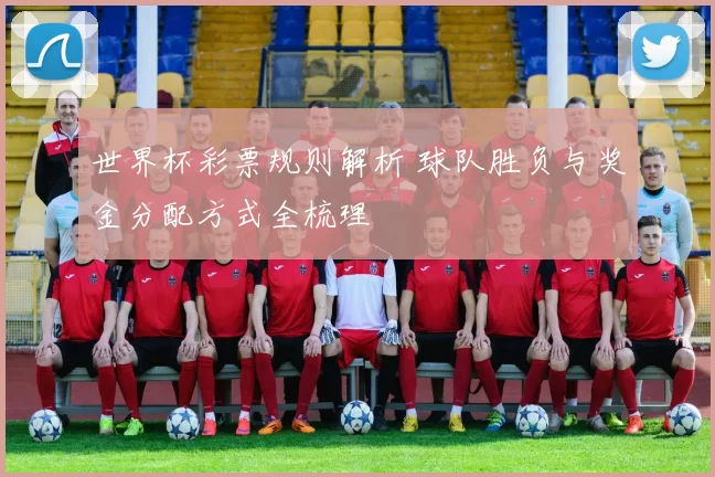 世界杯彩票规则解析 球队胜负与奖金分配方式全梳理