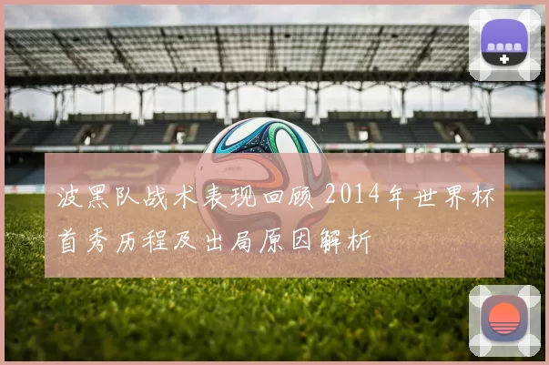 波黑队战术表现回顾 2014年世界杯首秀历程及出局原因解析